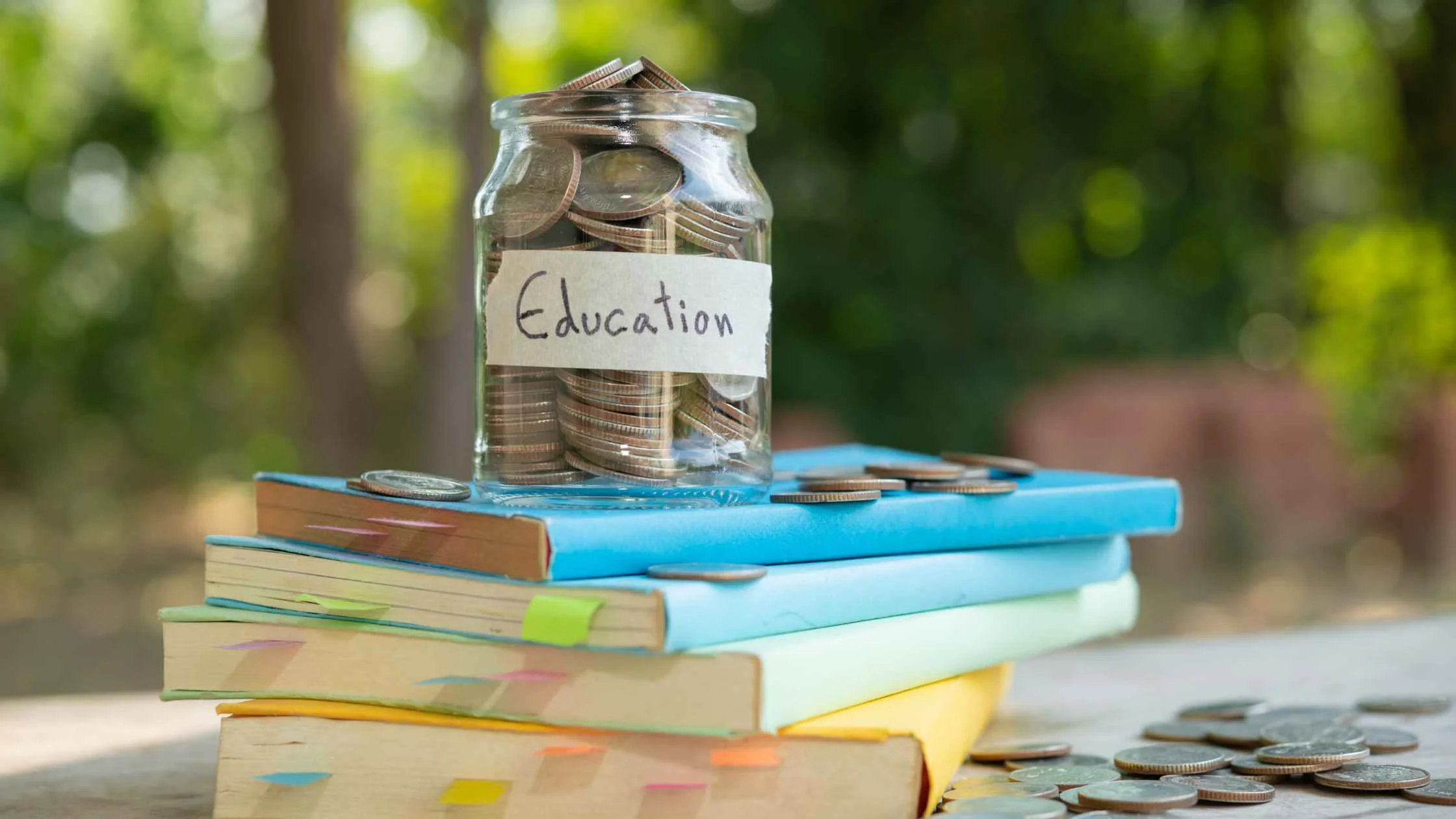 6 Best Government Schemes Education loan Options
