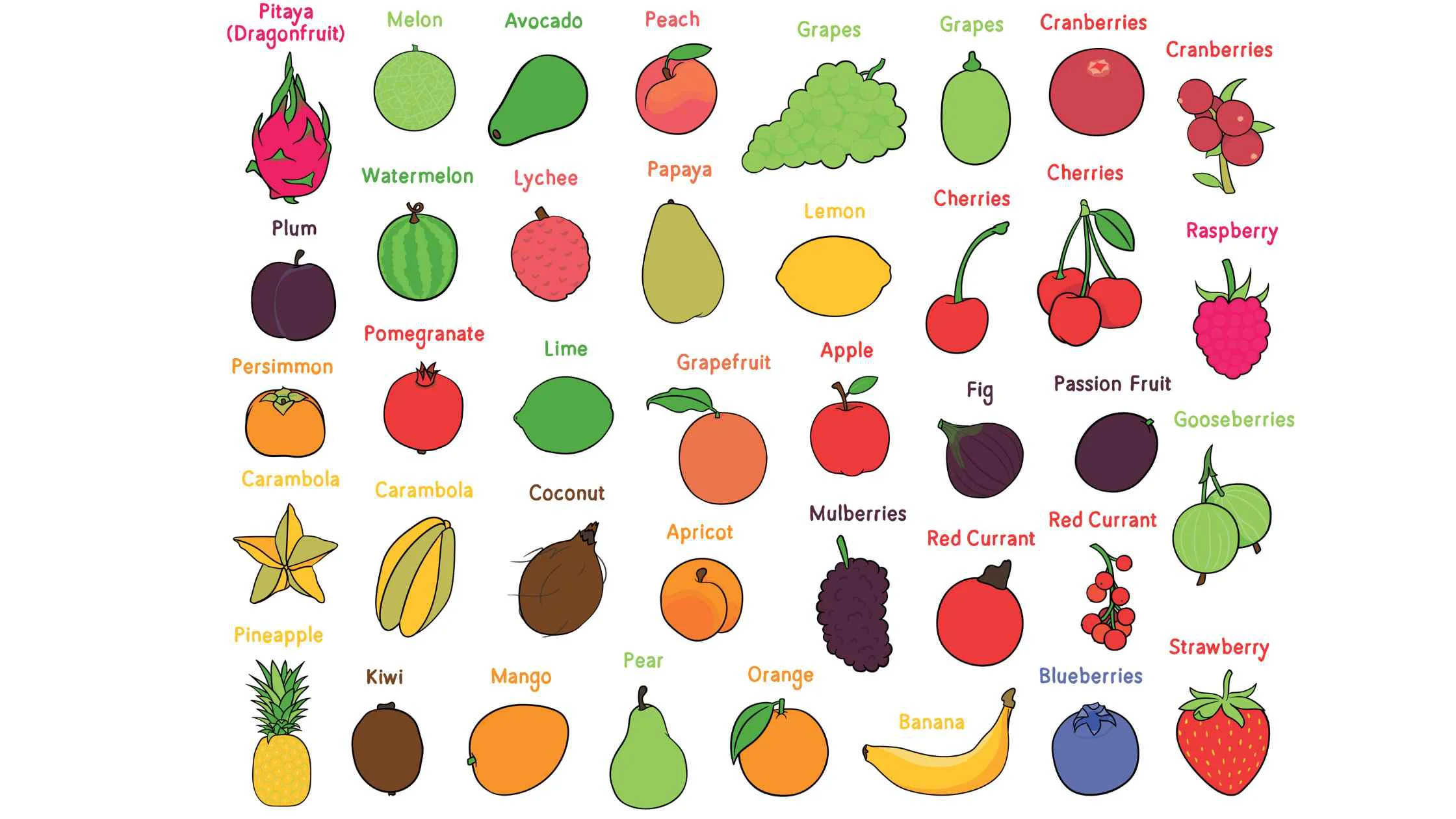 25+ Fruits Name in Hindi and English with Fun Facts
