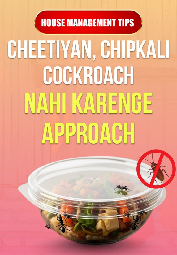 Cheetiyan, Chipkali Cockroach Nahi Karenge Approach
