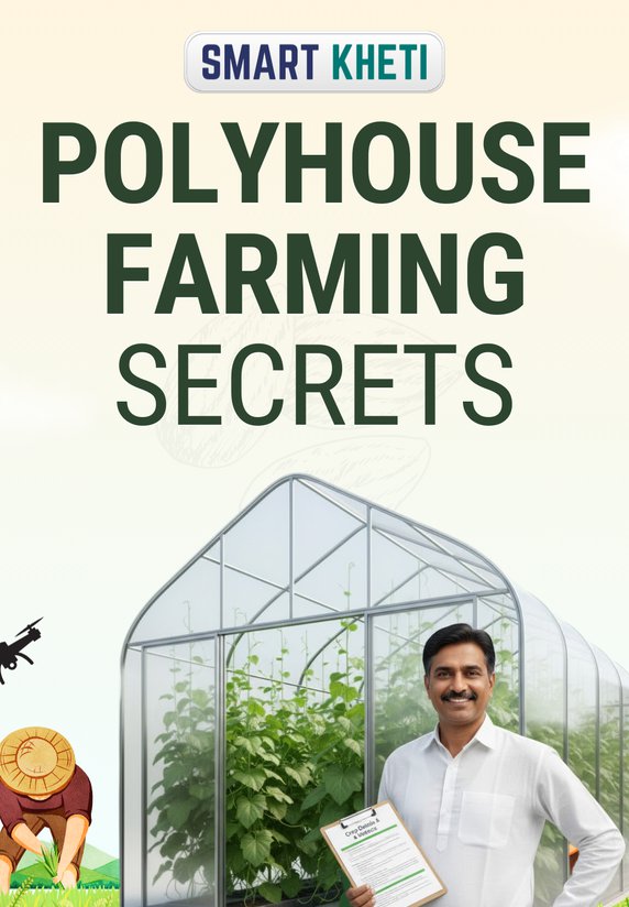 Polyhouse Farming Secrets