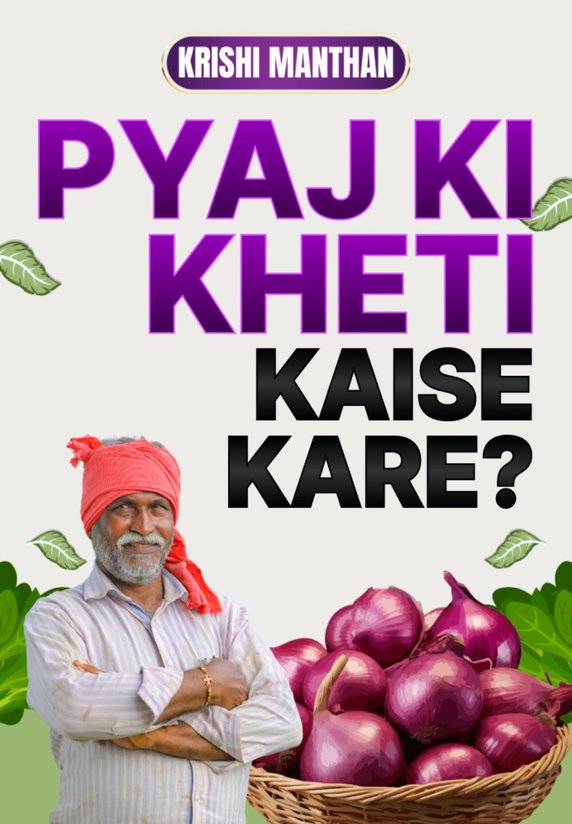 Pyaj Ki Kheti Kaise Kare?