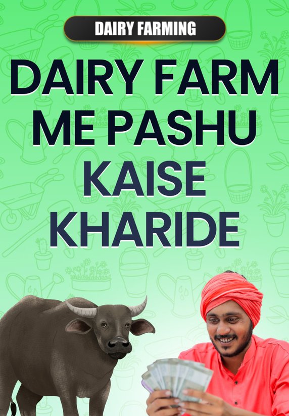 Dairy Farm Me Pashu Kaise Kharide