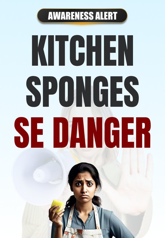Kitchen Sponges Se Danger