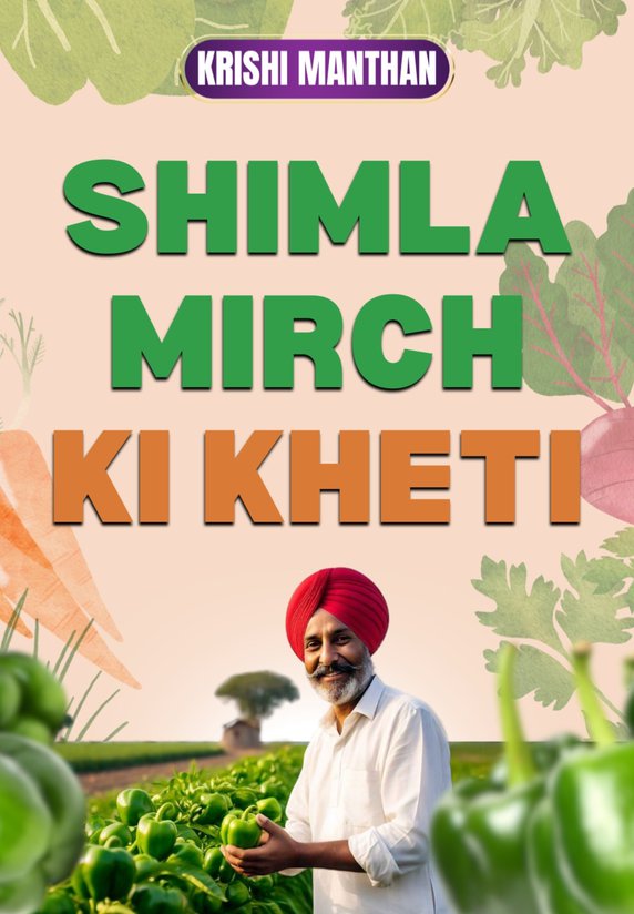 Shimla Mirch Ki Kheti