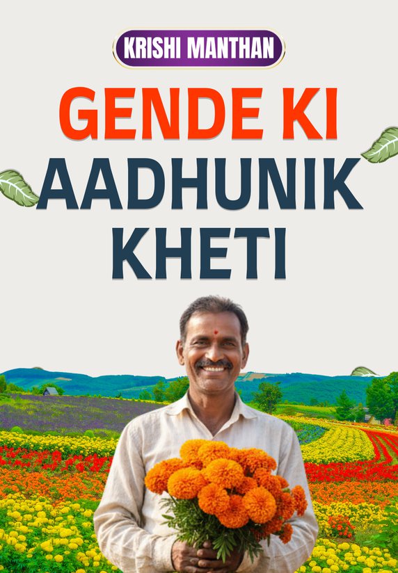 Gende Ki Aadhunik Kheti