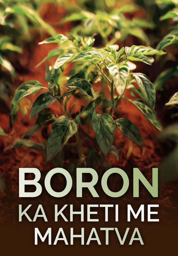 Kheti Me Boron Ka Mahatva?