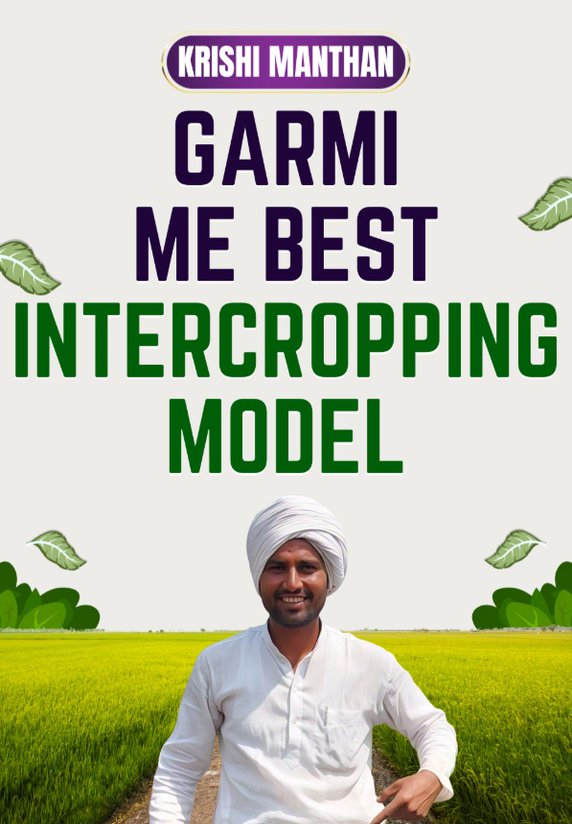 Garmi Me Best Intercropping Model