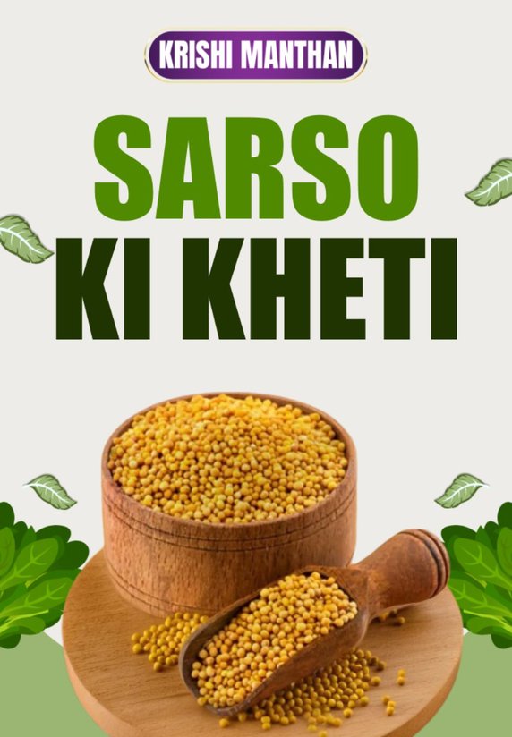 Sarso Ki Kheti