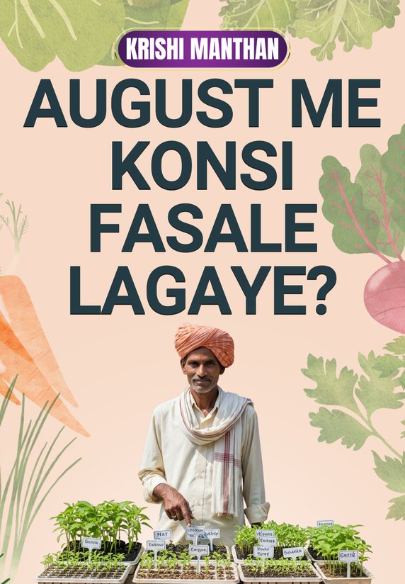 August Me Konsi Fasale Lagaye?