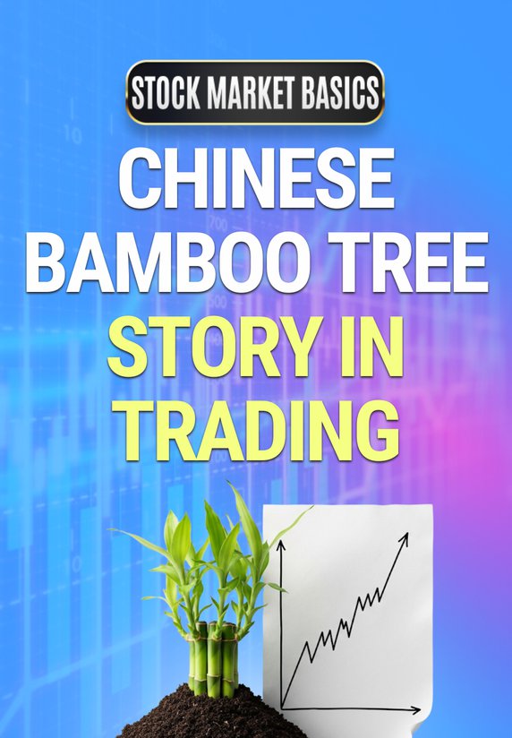 Chinese Bamboo Tree Story In Trading