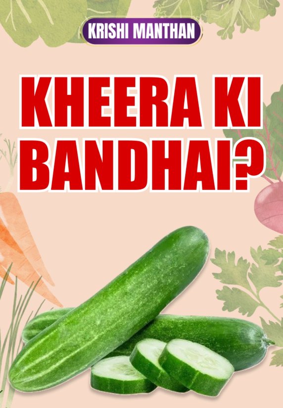 Kheera Ki Bandhai?