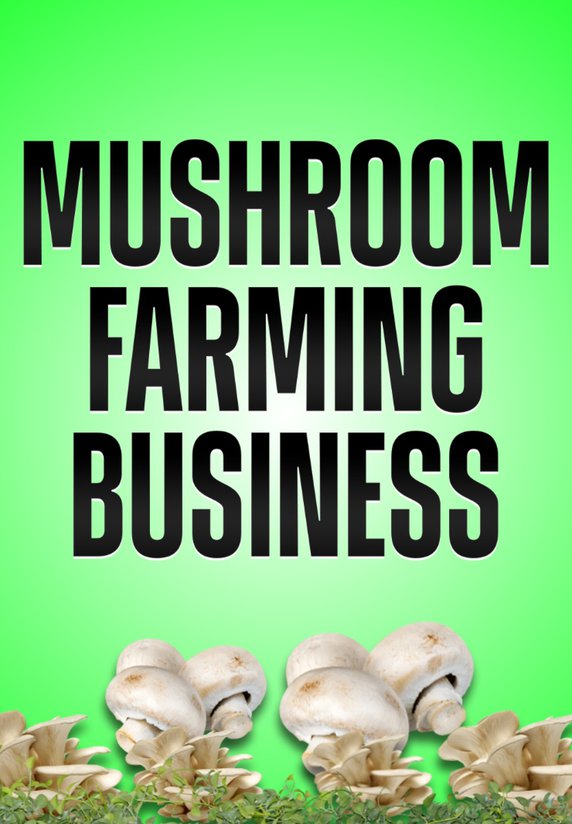 MUSHROOM FARMING BUSINESS