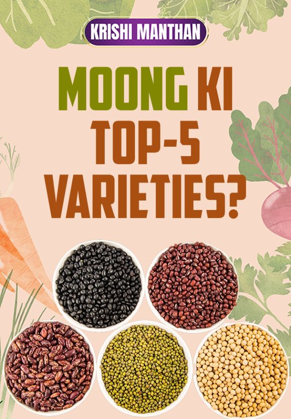 Moong Ki Top-5 Varieties?