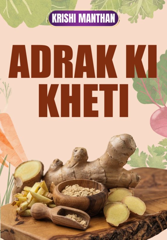 Adrak Ki Kheti