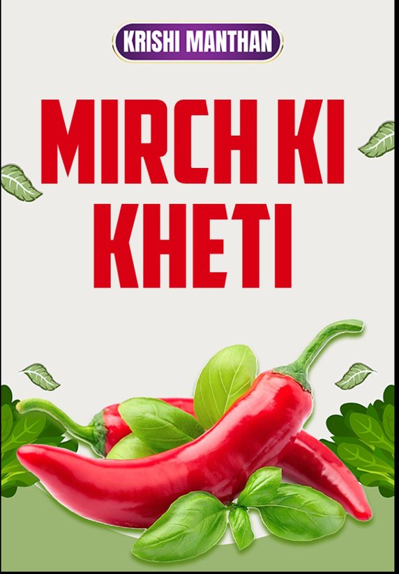 Mirch Ki Kheti