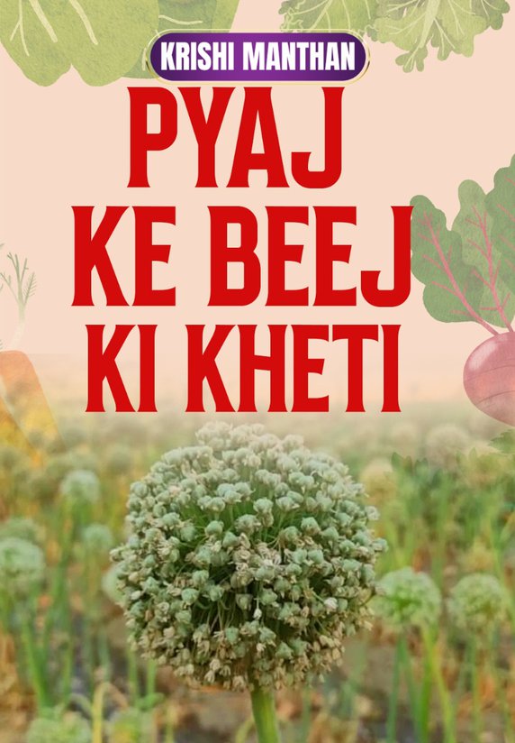 Pyaj Ke Beej Ki Kheti
