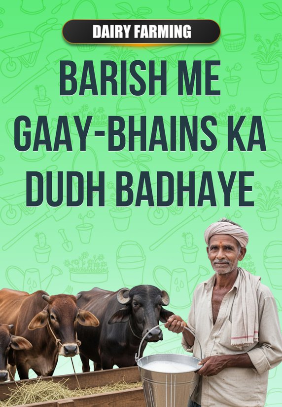 Barish Me Gaay-Bhains Ka Dudh Badhaye