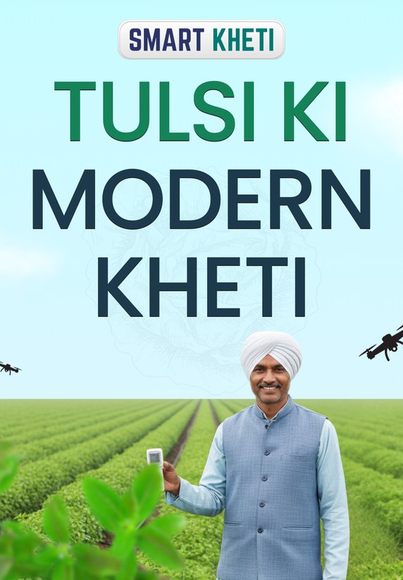 Tulsi Ki Modern Kheti
