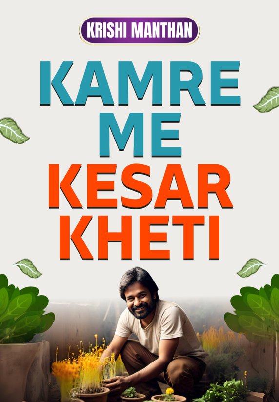 Kamre Me Kesar Kheti