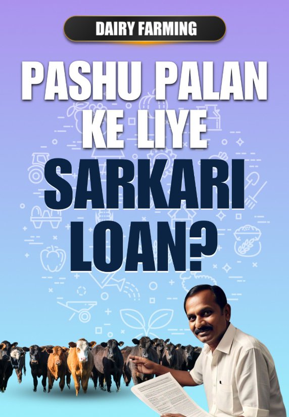 Pashu Palan Ke Liye Sarkari Loan?