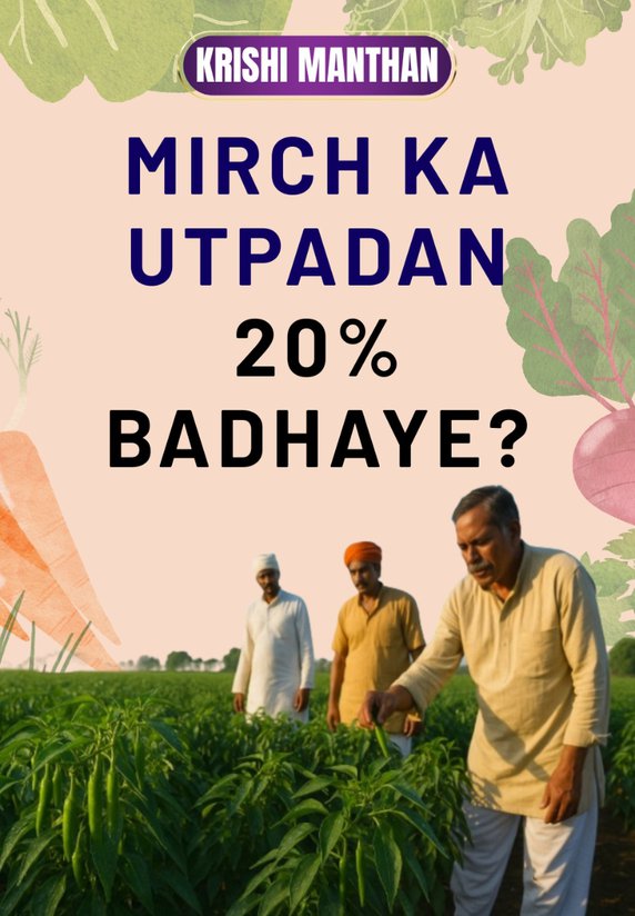 Mirch Ka Utpadan 20% Badhaye?