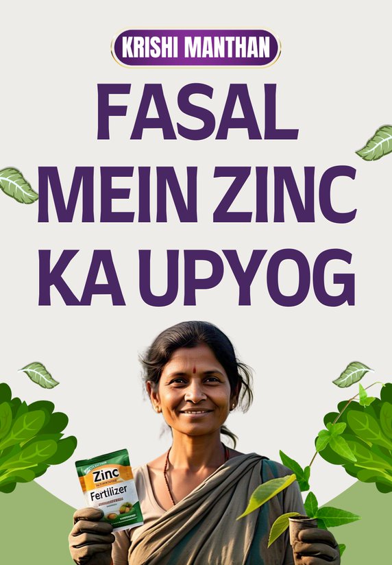 Fasal Mein Zinc Ka Upyog