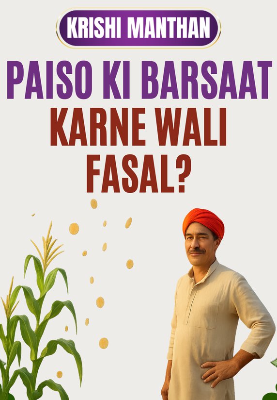 Paiso Ki Barsaat Karne Wali Fasal?