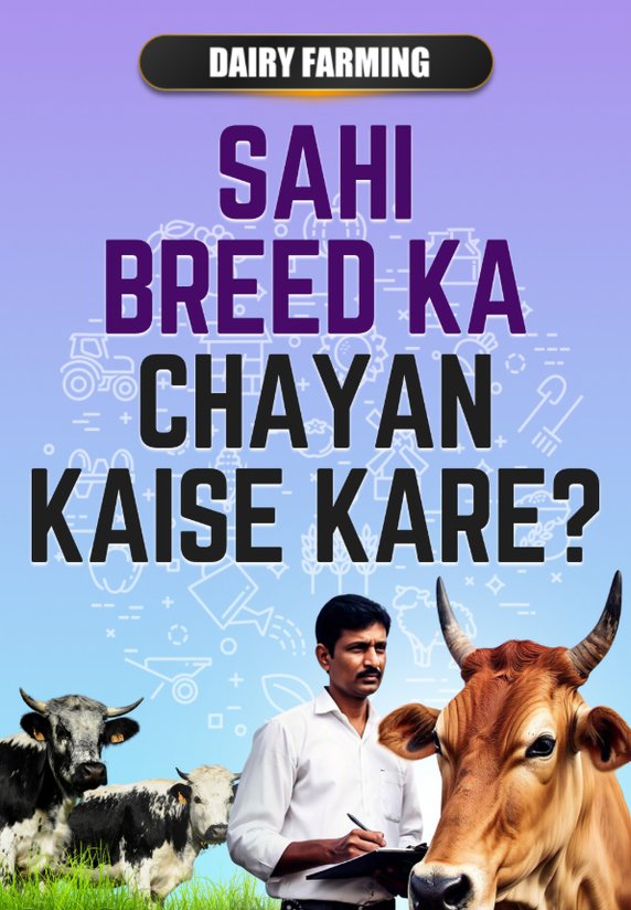 Dairy Farm Shuru Kaise Kare?