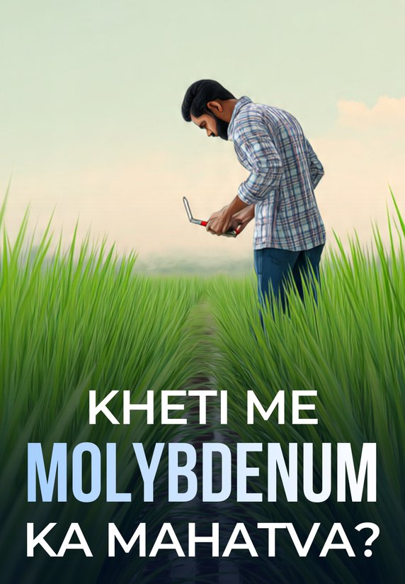 Kheti Me Molybdenum Ka Mahatva?