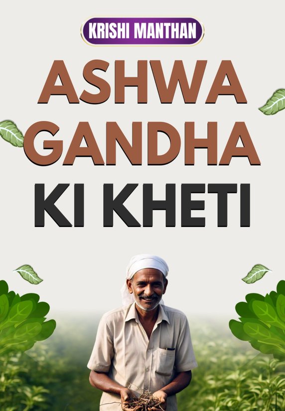 Ashwagandha Ki Kheti