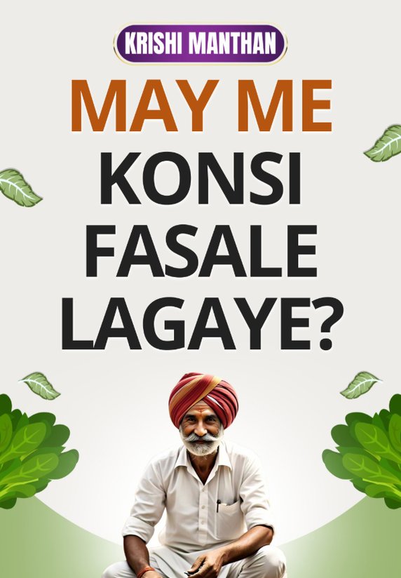 May Me Konsi Fasale Lagaye?