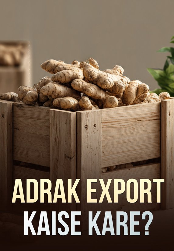 Adrak Export Kaise Kare?