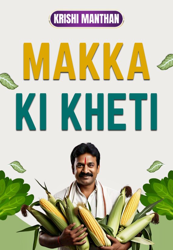 Makka Ki Kheti