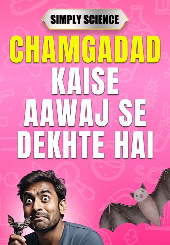 Chamgadad Kaise Aawaj Se Dekhte Hai