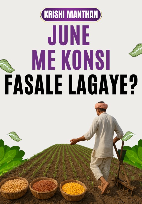 June Me Konsi Fasale Lagaye?