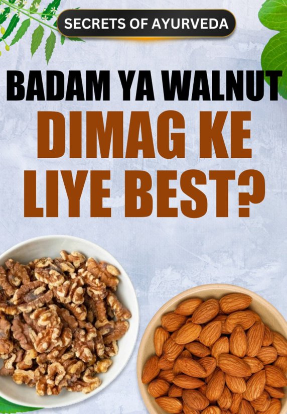 Badam Ya Walnut : Dimag Ke Liye Best?