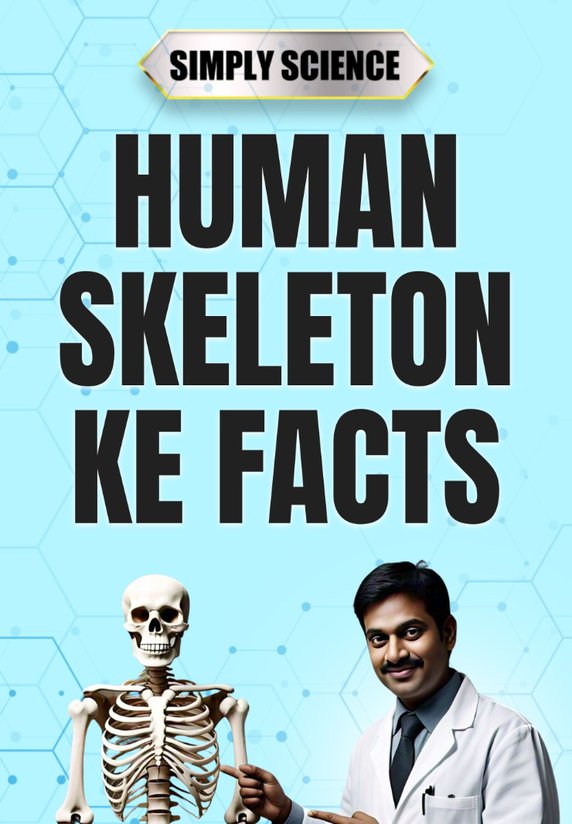 Human Skeleton Ke Facts
