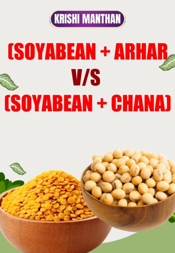 (Soyabean + Arhar) V/s (Soyabean + Chana)