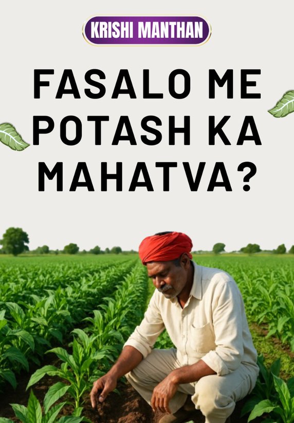 Fasalo Me Potash Ka Mahatva?
