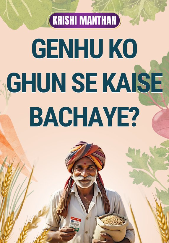 Genhu Ko Ghun Se Kaise Bachaye?
