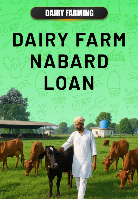 Dairy Farm NABARD Loan
