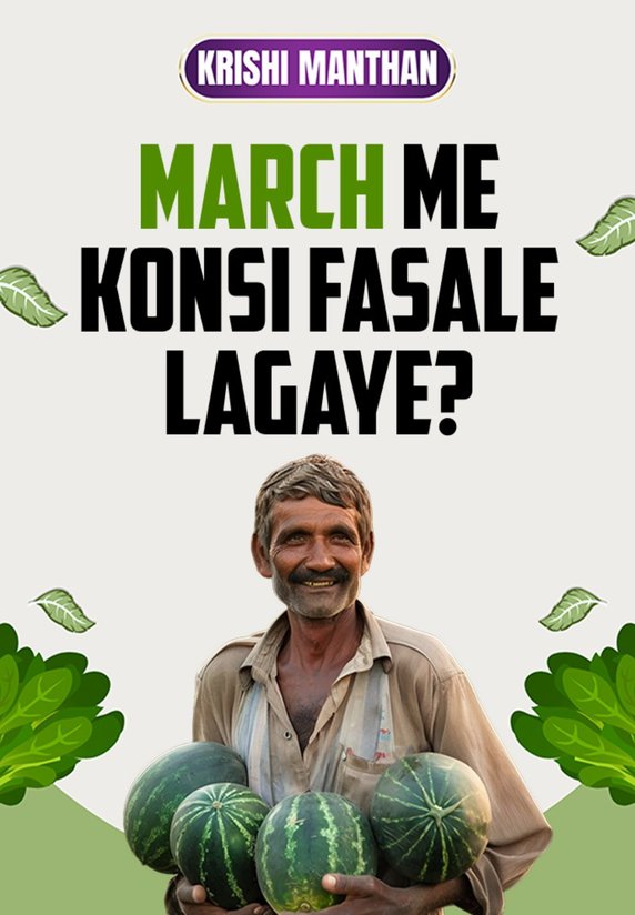 March Me Konsi Fasale Lagaye?